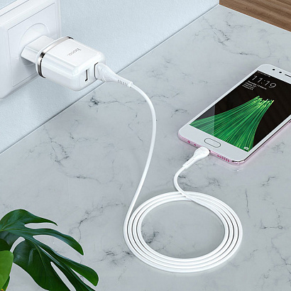 СЗУ с выходом USB Hoco N4 (2.4A/2USB/кабель Micro USB) белое